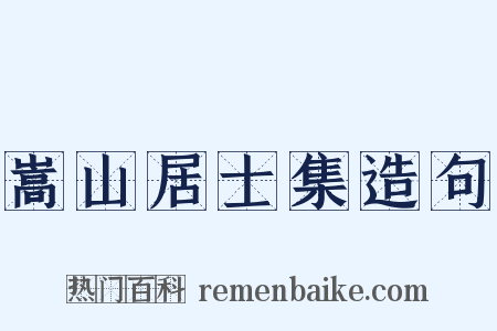 嵩山居士集造句是什么意思的图片